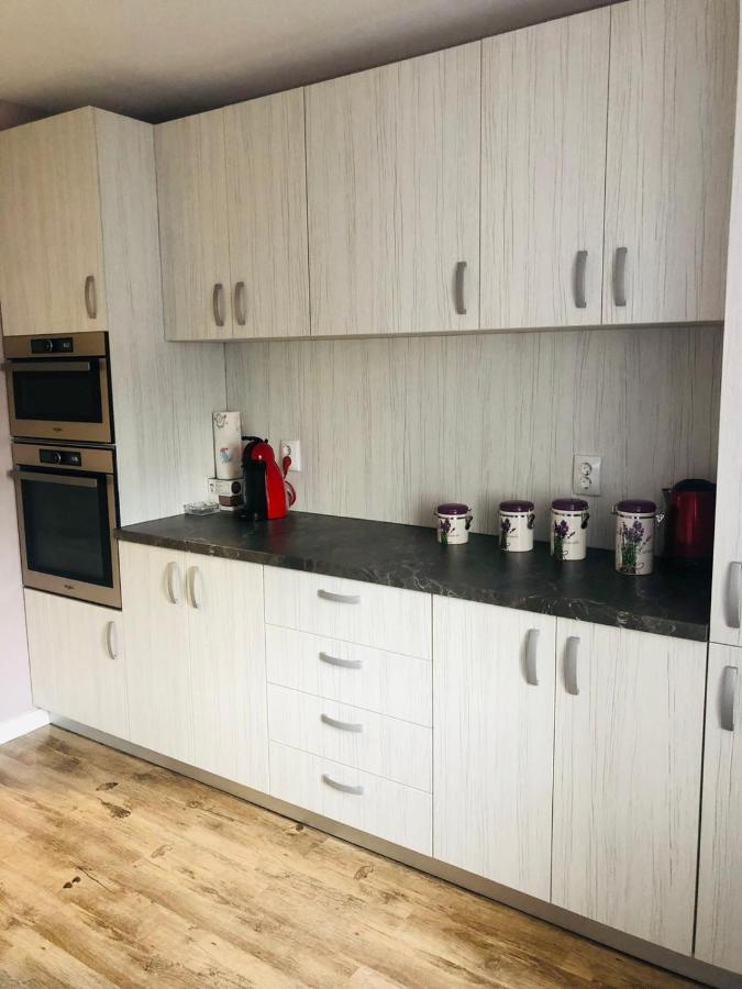 Sighisoara Apartment Εξωτερικό φωτογραφία